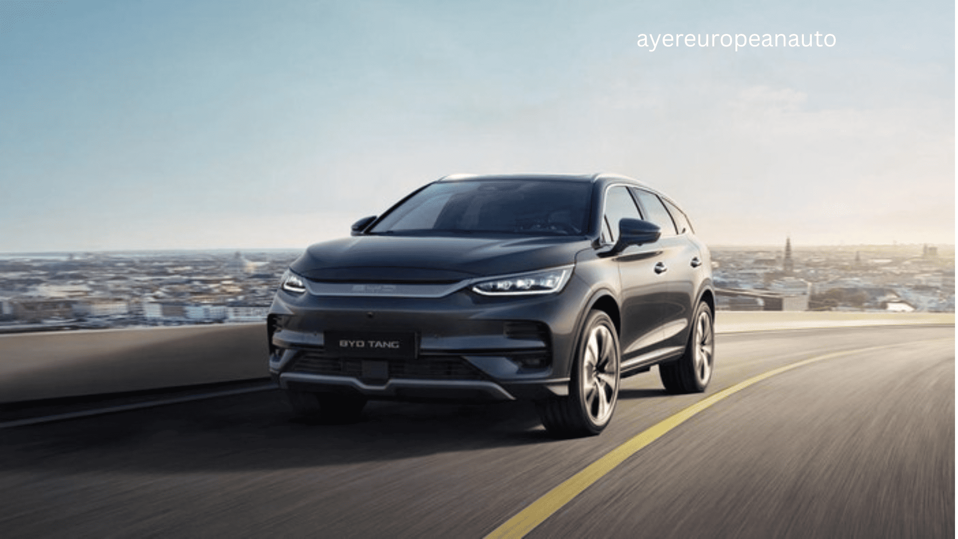 ayereuropeanauto